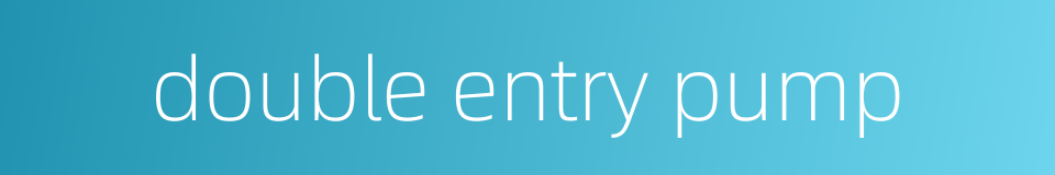 double entry pump的同义词