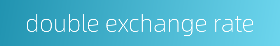 double exchange rate的同义词