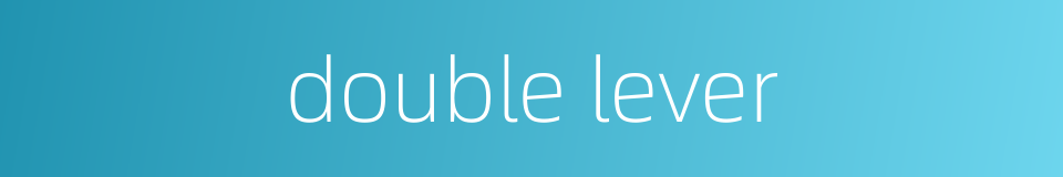 double lever的同义词