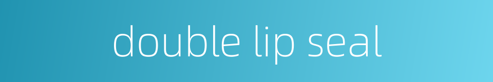 double lip seal的同义词