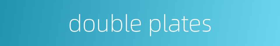 double plates的同义词