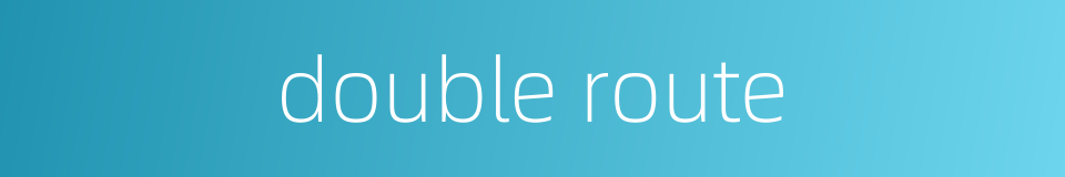 double route的同义词