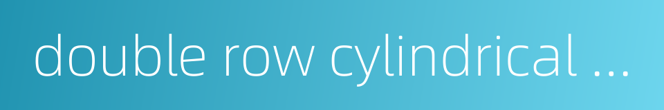 double row cylindrical roller bearing的同义词