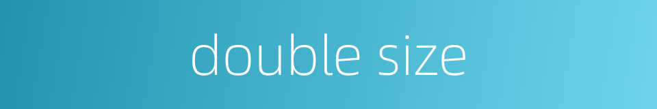 double size的同义词