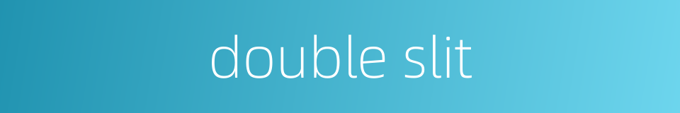 double slit的同义词