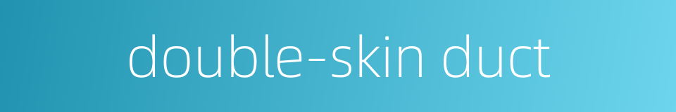 double-skin duct的同义词