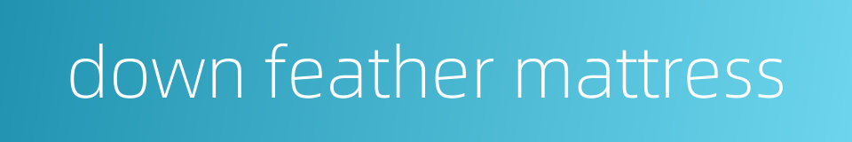 down feather mattress的同义词