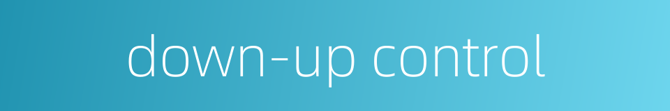 down-up control的同义词