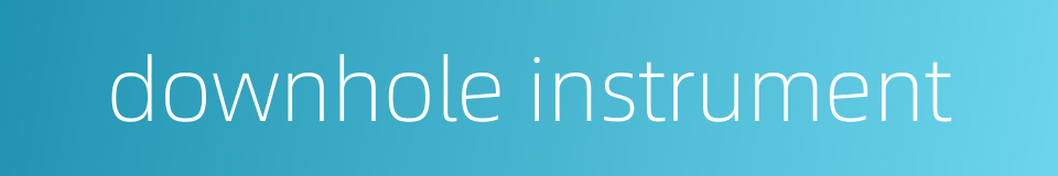 downhole instrument的同义词