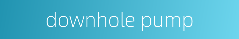 downhole pump的同义词