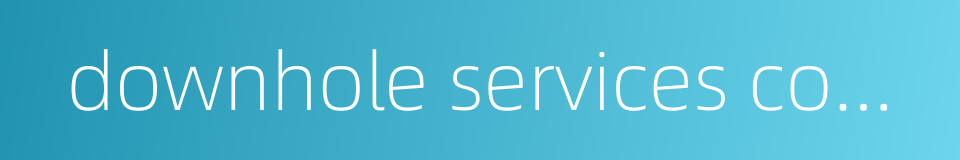 downhole services company的同义词