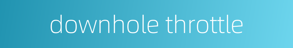 downhole throttle的同义词