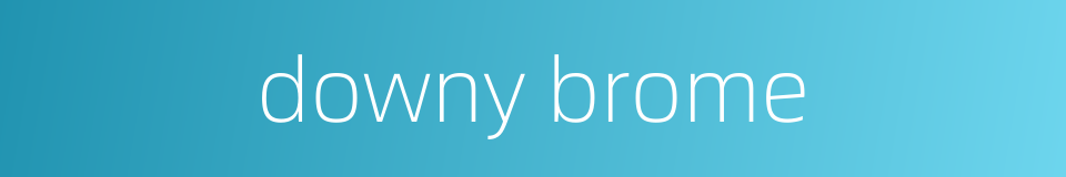 downy brome的同义词