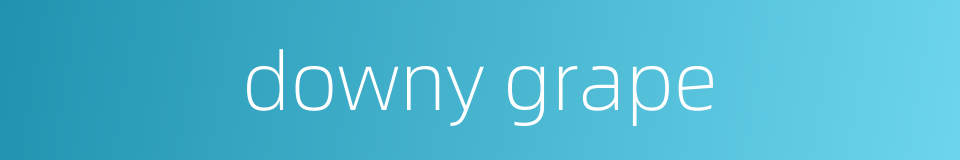 downy grape的同义词