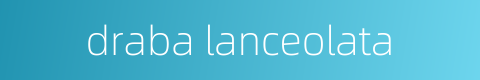 draba lanceolata的同义词