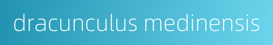 dracunculus medinensis的同义词