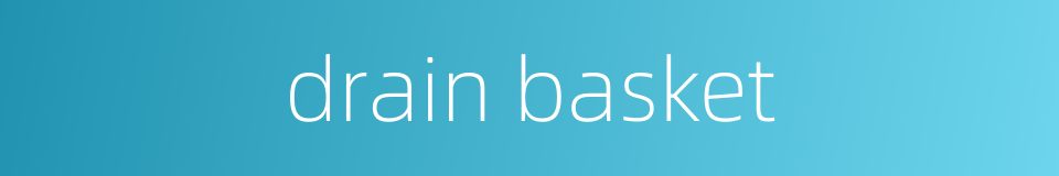drain basket的同义词