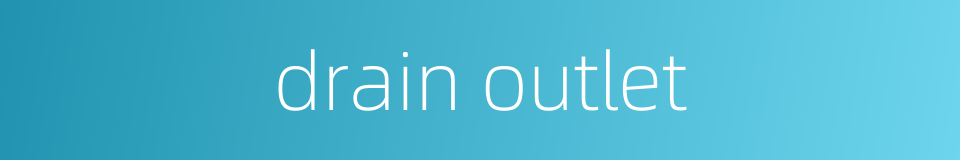 drain outlet的同义词
