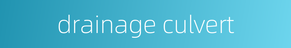 drainage culvert的同义词