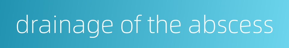 drainage of the abscess的同义词