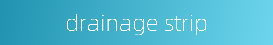 drainage strip的同义词