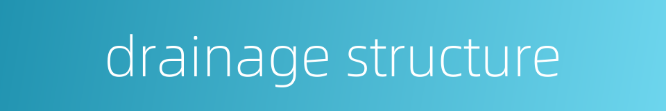 drainage structure的同义词