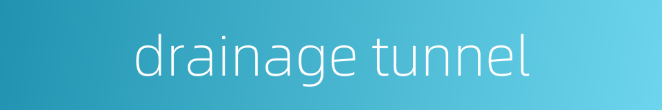 drainage tunnel的同义词