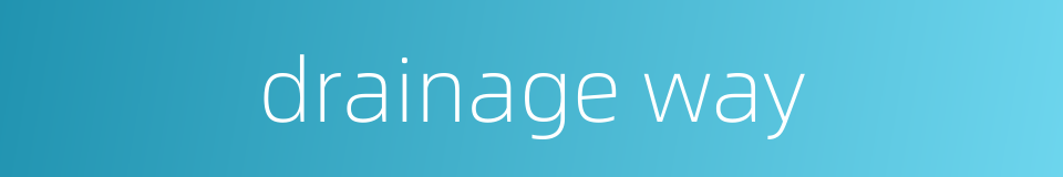 drainage way的同义词
