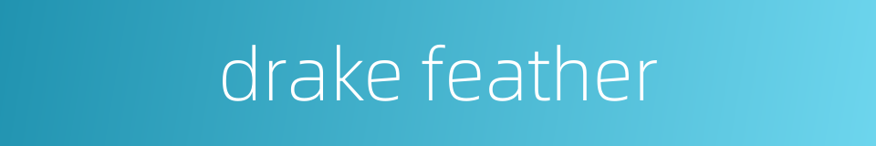 drake feather的同义词
