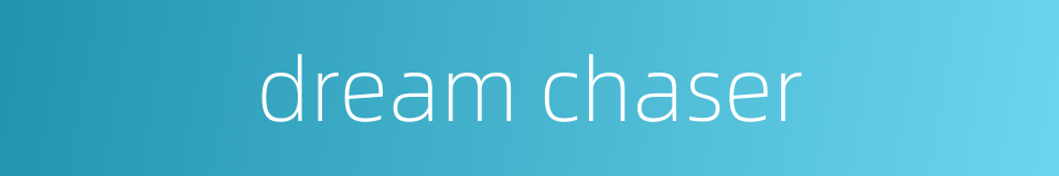 dream chaser的同义词