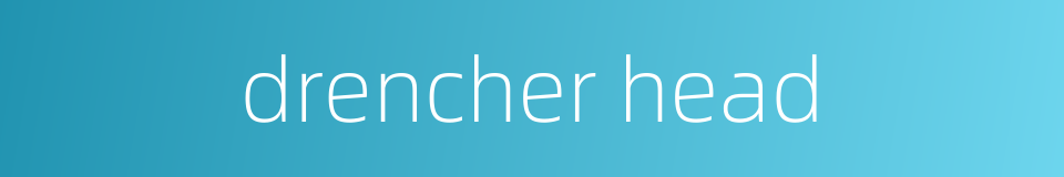 drencher head的同义词