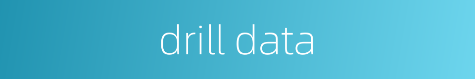 drill data的同义词