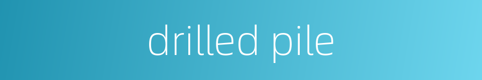 drilled pile的同义词