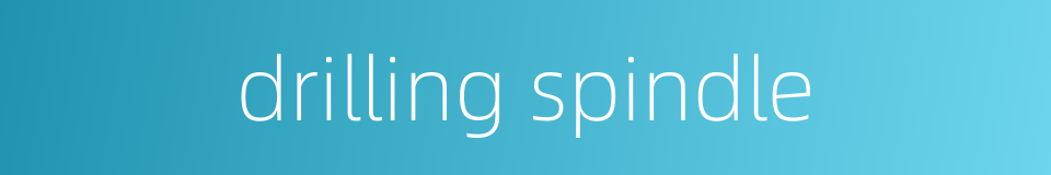 drilling spindle的同义词