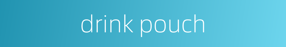 drink pouch的同义词