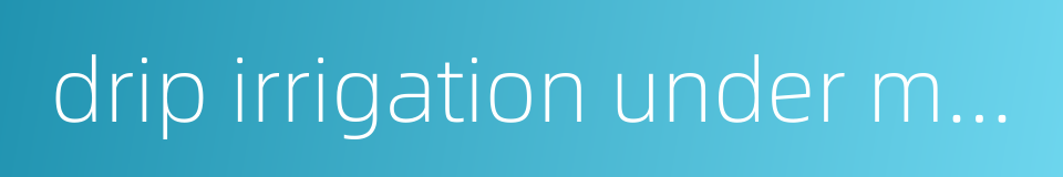 drip irrigation under mulch的同义词