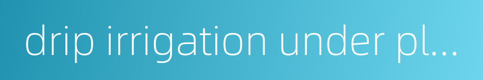 drip irrigation under plastic film的同义词