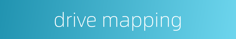 drive mapping的同义词