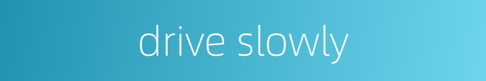drive slowly的同义词