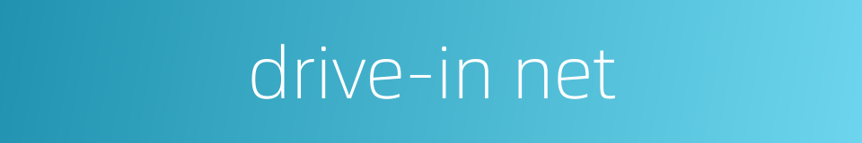 drive-in net的同义词
