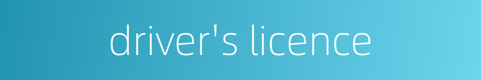 driver's licence的同义词