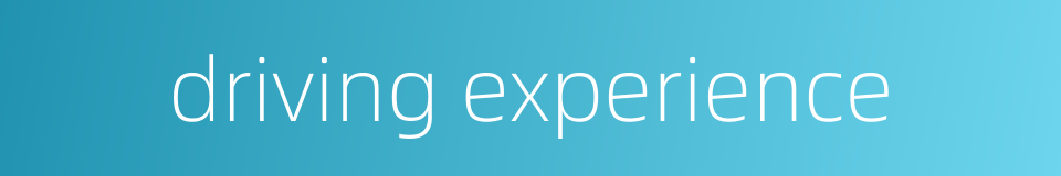 driving experience的同义词