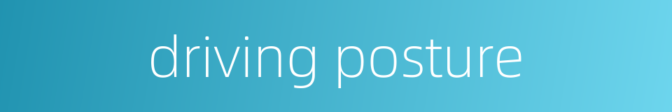 driving posture的同义词