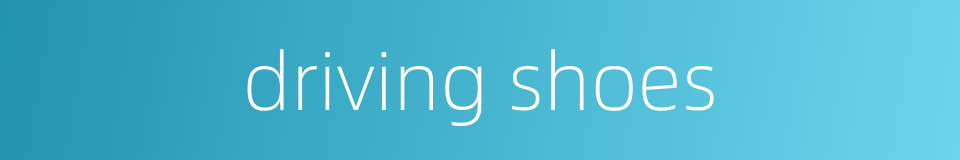 driving shoes的同义词