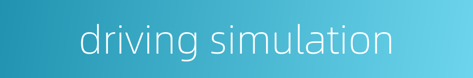 driving simulation的同义词