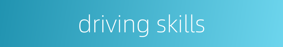 driving skills的同义词