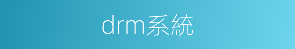 drm系統的同義詞