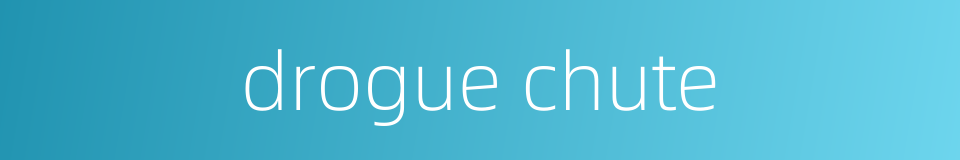 drogue chute的同义词