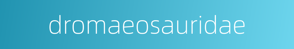 dromaeosauridae的同义词