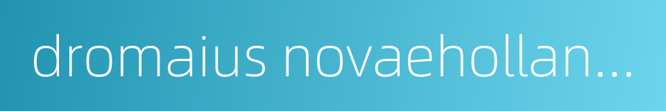 dromaius novaehollandiae的同义词